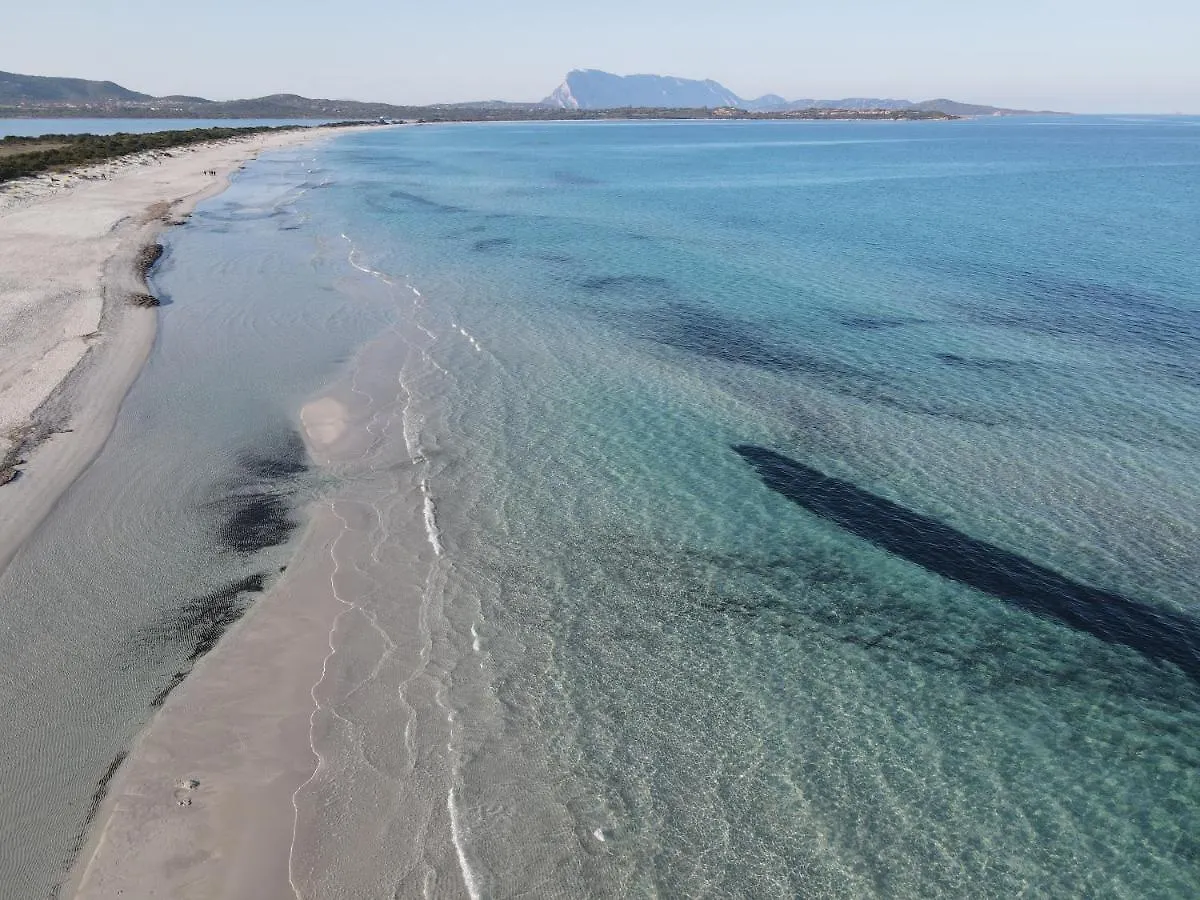 Iss Travel, Apartments In Via Torino - 800 M From La Cinta Beach San Teodoro  Aparthotel San Teodoro (Sardinia)