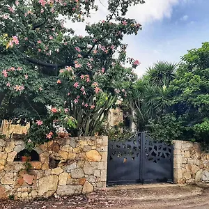  Bed and breakfast Chorisia